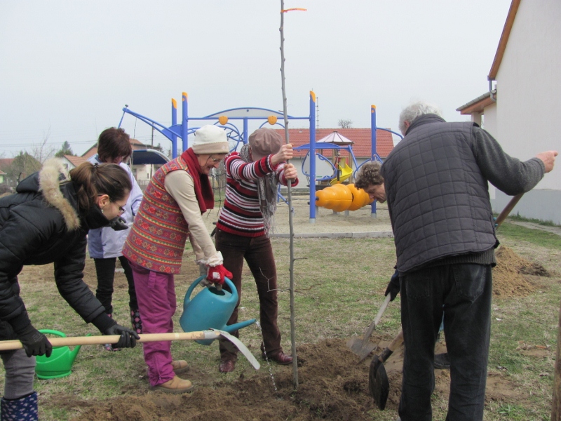 kecskemet faultetes 3